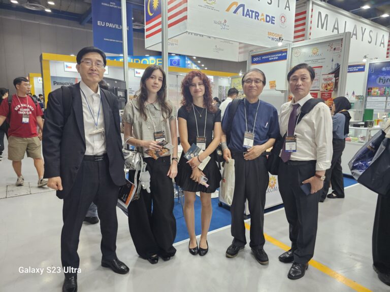 Korea international internship program 2026